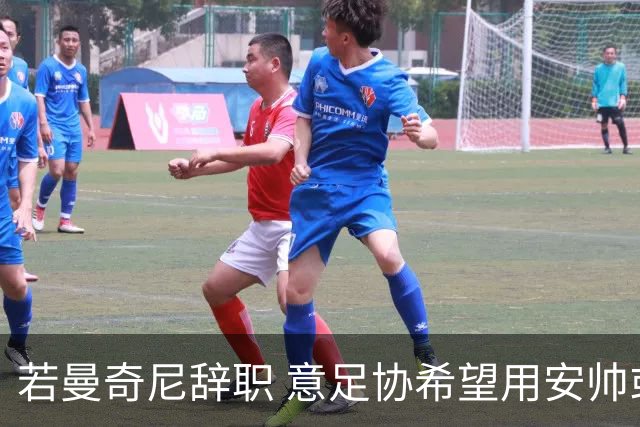 若曼奇尼辞职 意足协希望用安帅或卡纳瓦罗替代